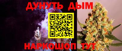 спиды Моздок