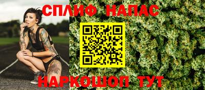 СК Нальчик